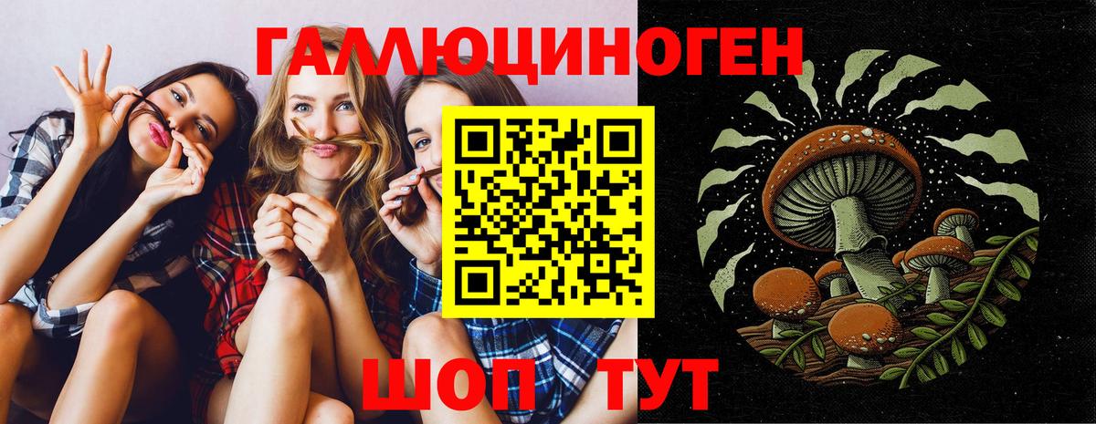 Меф кристаллы  МАРИХУАНА  Вход с VPN  Cocaine  МЕТАМФЕТАМИН  Гашиш  Медногорск  А ПВП СОЛЬ  