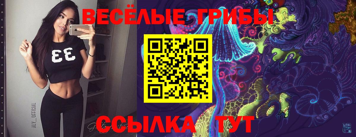 Галлюциногенные грибы Psilocybine cubensis Медногорск
